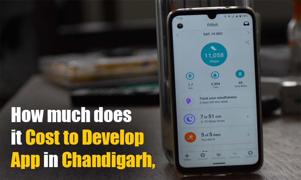 How Much Does it Cost to Build a Mobile App in Chandigarh?